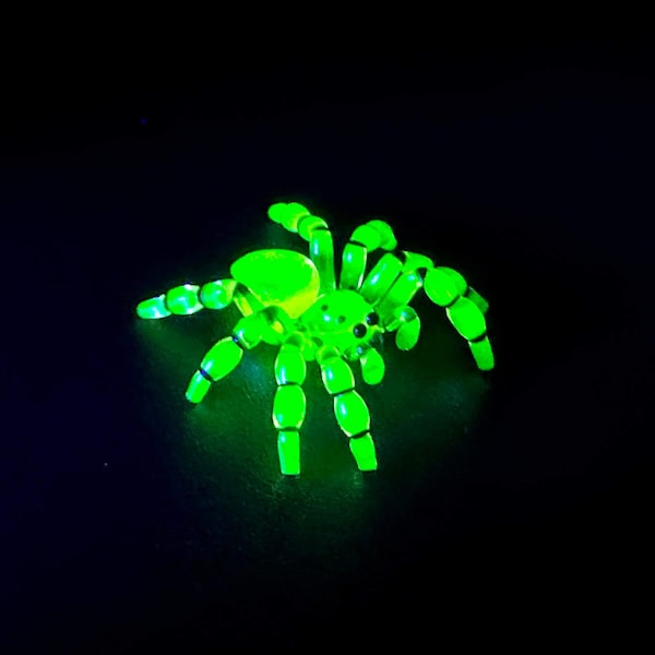 Uranium Vaseline skaczący pająk niestandardowy