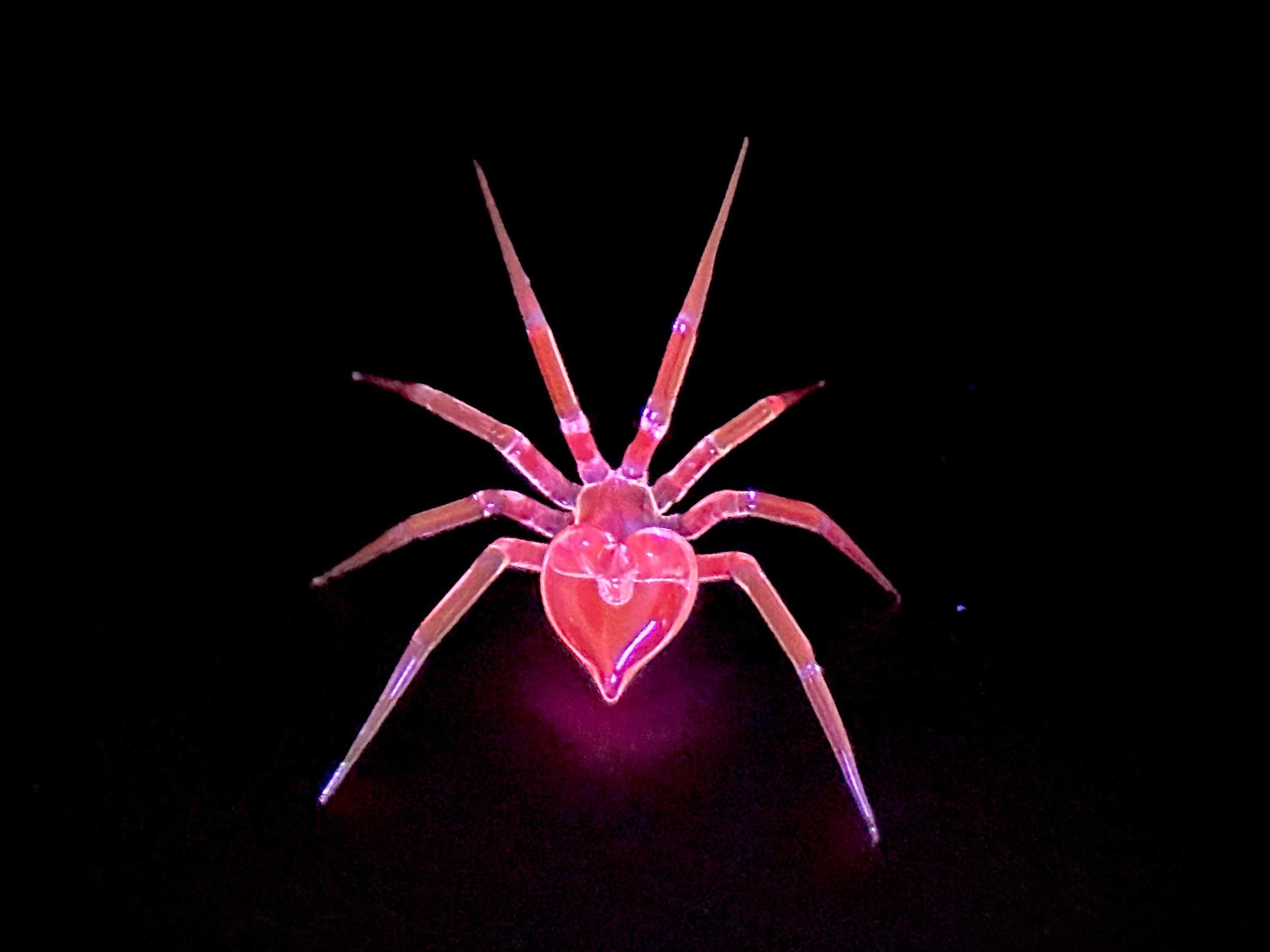 Regular Size Approx 2”x2 Pink/red Glow Non Uranium Heart Spider