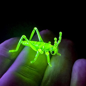 Uranium Vaseline cricket