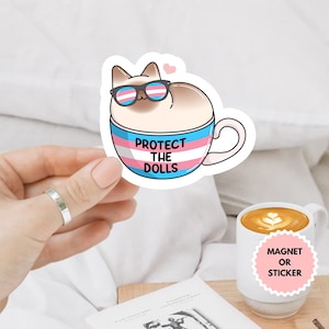 Protect The Dolls Cat Lover Trans Kids LGBTQ Sticker/Car Magnet, Transgender Pride, Trans Rights Ally, FDT LGBTQ Activist Sticker