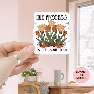 Due Process is a Human Right Anti Trump Sticker/Car Magnet, Anti-Authoritarian Sticker, Save Democracy Sticker, I Love Due Process Sticker