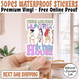 Kpop Demon Hunter Huntrix Sticker/Car Magnet , Kpop Saja Boys Sticker, Kpop Demon Hunter Sticker, There Are Some Huntrix In This House