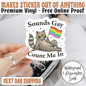 Sounds Gay Count Me In Raccoon Gay Pride LGBTQ Sticker/Car Magnet, Gay Pride Rainbow Sticker, Pride Flag Rainbow, Love is Love,LGBTQAA Decal