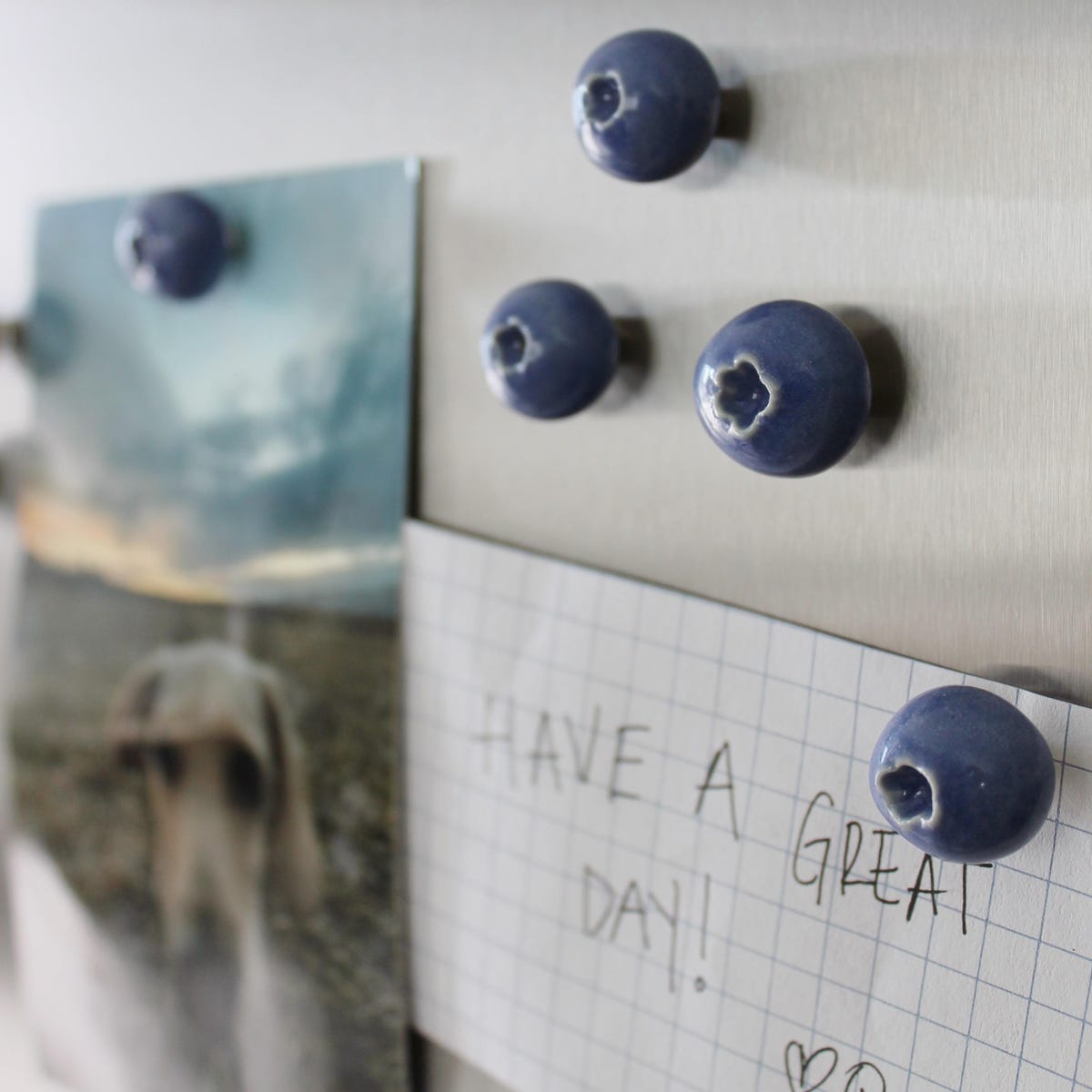 Blueberry Fridge Magnets - With magnets