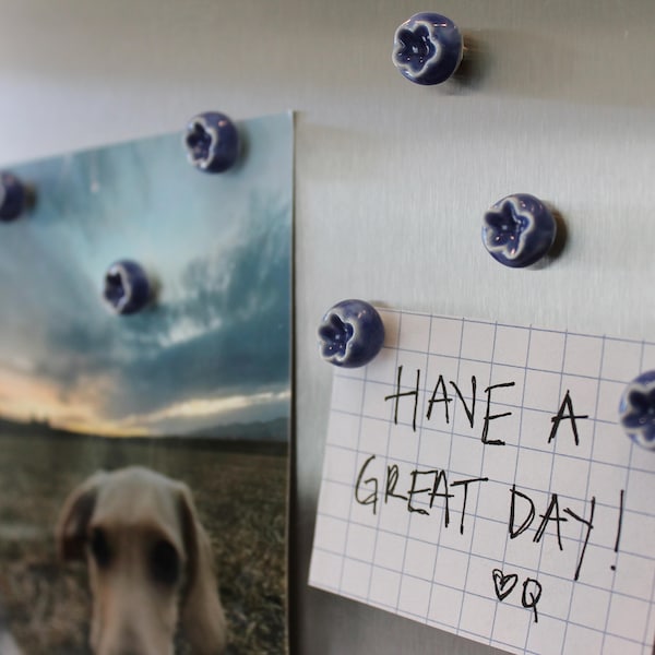 Imán de cerámica, Fruta de cerámica, Imán de comida, Imanes de arcilla, Imanes de nevera, Imanes hechos a mano, Arándano, Imán de fruta, Imán de arándano