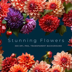 12 Realistic Colorful Peonies Clipart Bundle, Summer Flowers, Floral Arrangement, Stunning, For Commercial Use, Transparency, PNG, 300 DPI