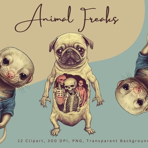 12 Disturbingly Quirky Animal Freaks Clipart, Deformed, Halloween, Weird, Horror, Macabre, Skeletons, Mutant, Dog, Rat, Rabbit, Scary Inside