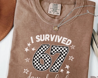 I Survived 67 Days of School Shirt, Funny 6 7 Six Seven Tee, Teacher Shirt, End of School Year Classroom Tee, 6 7 Shirt