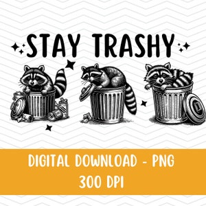 Stay Trashy PNG, Raccoon Png, Funny Raccoon Png, Raccoon funny png, Stay Trashy Png, Funny Stay Trashy Raccoons Trash Png, Funny Animals