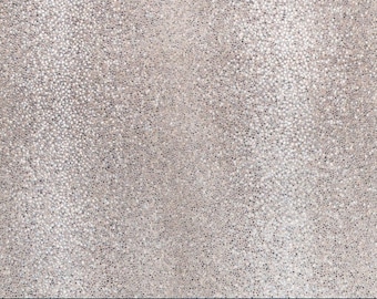 Op de afbeelding: Een close-up van een getextureerd oppervlak met een patroon van kleine, onregelmatige stippen. De kleur is een neutraal, lichtgrijs met subtiele variaties, waardoor een gespikkeld uiterlijk ontstaat. De stippen zijn een mix van wit, grijs en zwart.