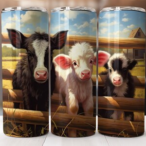 May include: Three adorable calves, one black and white, one white with pink ears, and one black and white with a white face, peek over a wooden fence. The calves are in a field with a wooden barn in the background.