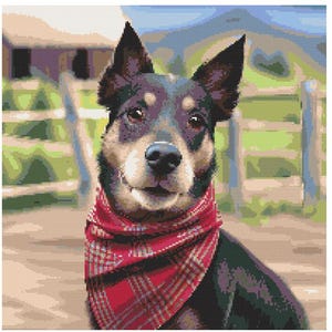 Könnte beinhalten: Ein schwarz-brauner Hund mit einem rot-schwarzen karierten Halstuch. Der Hund schaut direkt in die Kamera mit einem freundlichen Ausdruck.