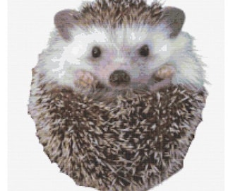 Cute Hedgehog Animal Cross Stitch PDF Pattern Keeper Compatible Design Pet Decor Gift Instant Download