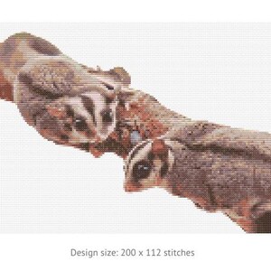 May include: Cross-stitch pattern featuring two sugar gliders perched on a brown branch. The sugar gliders have gray and white fur with large, dark eyes. The branch is a reddish-brown color. The design size is 200 x 112 stitches.