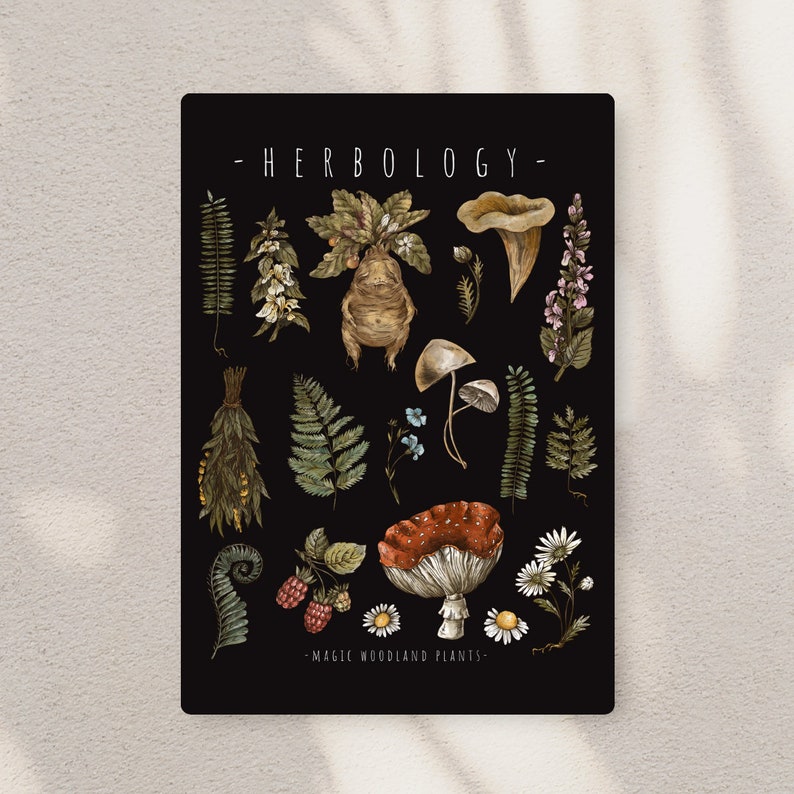 Woodlands Herbology Elements Print Instant Digital Download Cottagecore Fairycore Goblincore Decor image 1