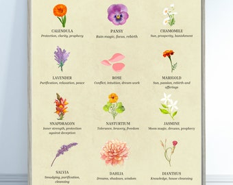 Edible Flower Witchery Digital Print