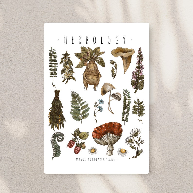 Woodlands Herbology Elements Print Instant Digital Download Cottagecore Fairycore Goblincore Decor image 2
