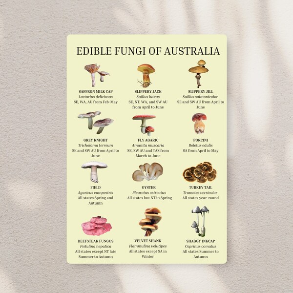 Edible Fungi of Australia | Botanical Mushroom Identification Poster for Foraging