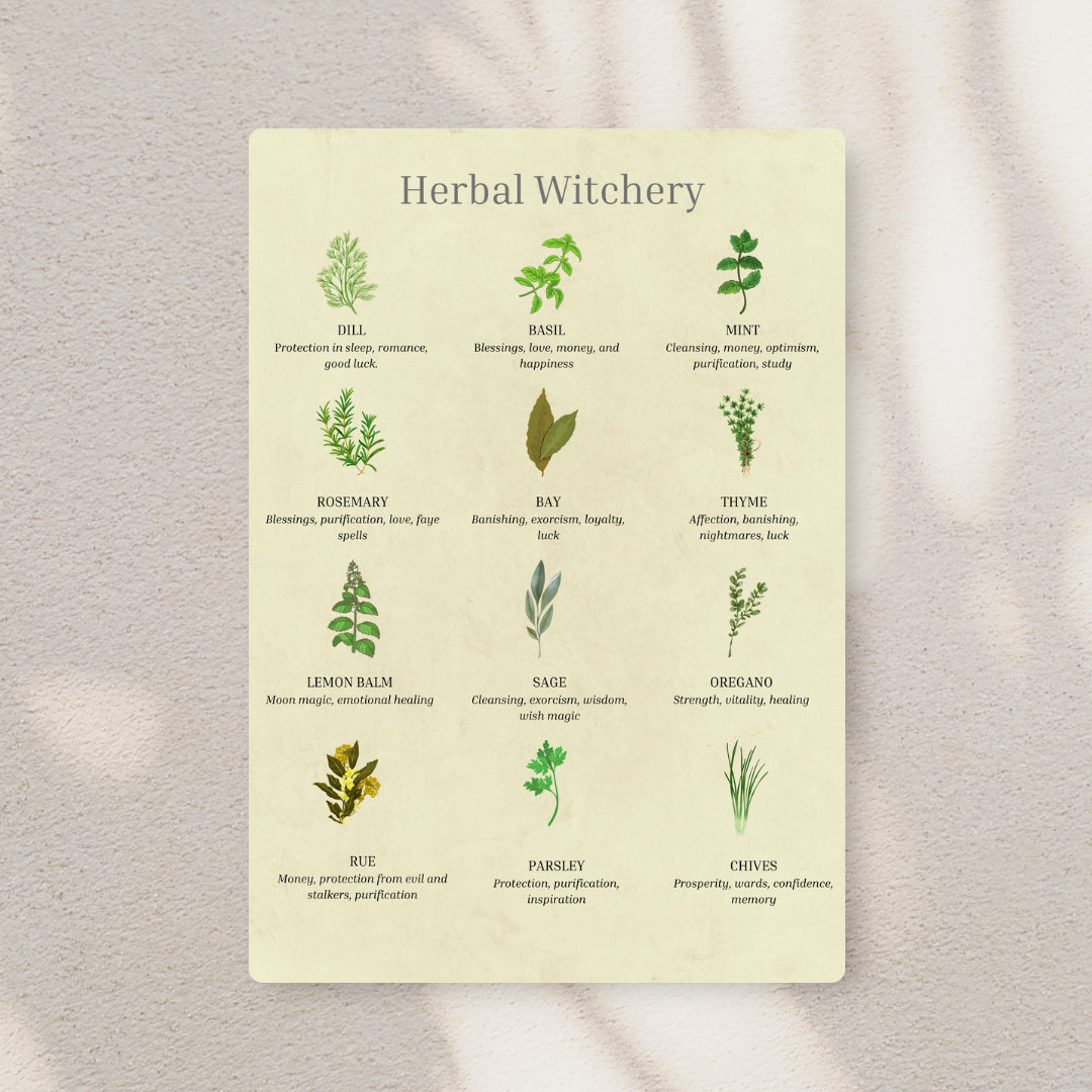 Herb Witchery Herb Uses Identification Poster Instant Digital