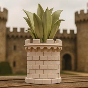 Könnte beinhalten: Ein hellbeige, zylindrischer Pflanztopf in Form eines Burgturms mit einem Ziegelmuster. Der Pflanztopf enthält eine grüne Pflanze mit langen, spitzen Blättern. Im Hintergrund ist eine Burg zu sehen.