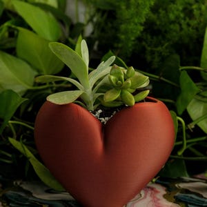 Heart-Shaped 3D Planter – Succulent Gift | Unique Handpicked Design