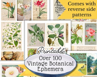 Botanical Ephemera pack for Junk Journal Basic Essentials, Naturalist Junk Journal Ephemera Pack Digital Download Junk Journal Essentials