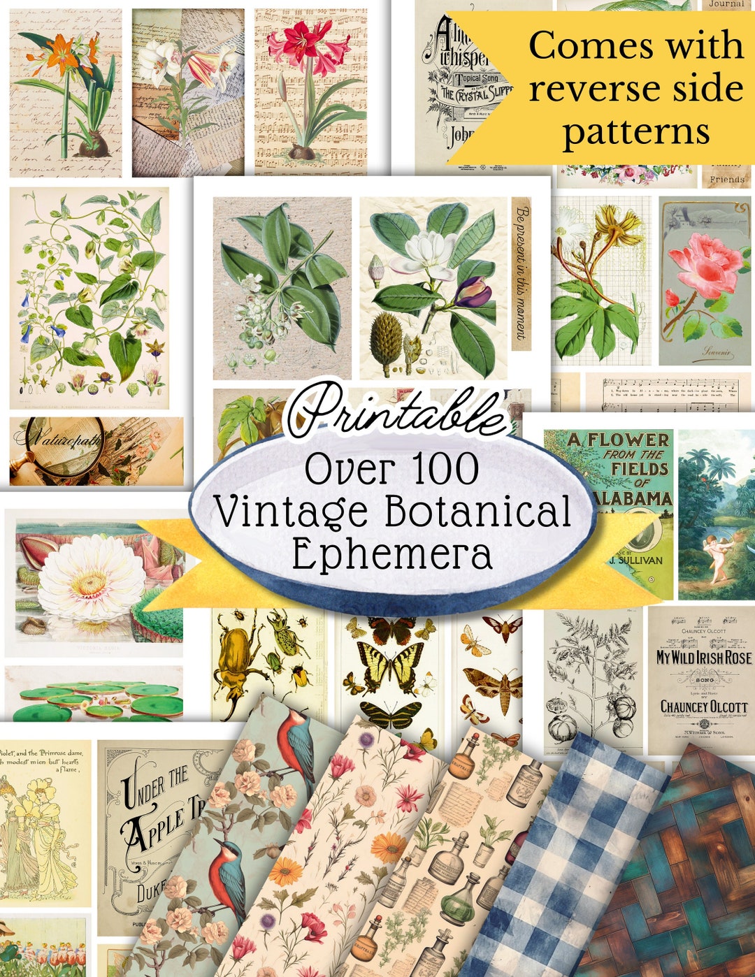 Vintage Botanical Ephemera Pack – Printable Junk Journal Pages (digital ...