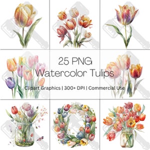 Watercolor Floral Tulips Digital Clipart - PNG Instant Download For Commercial Use