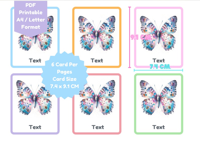 Flashcard INSECT,24 Flashcard for Kid, INSECT Flash Card, Montessori ...