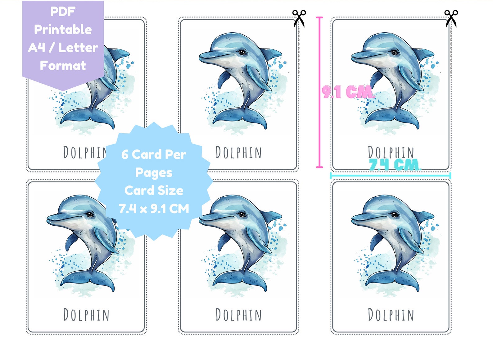 Flash Card Ocean Animals,24 Flashcard for Kid, Animal Flash Card ...