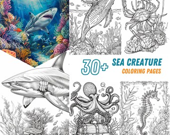 Páginas para colorear 30 criaturas marinas: libro para colorear para adultos y niños, hojas para colorear del océano, delfines, tiburones, descarga instantánea, archivo PDF imprimible