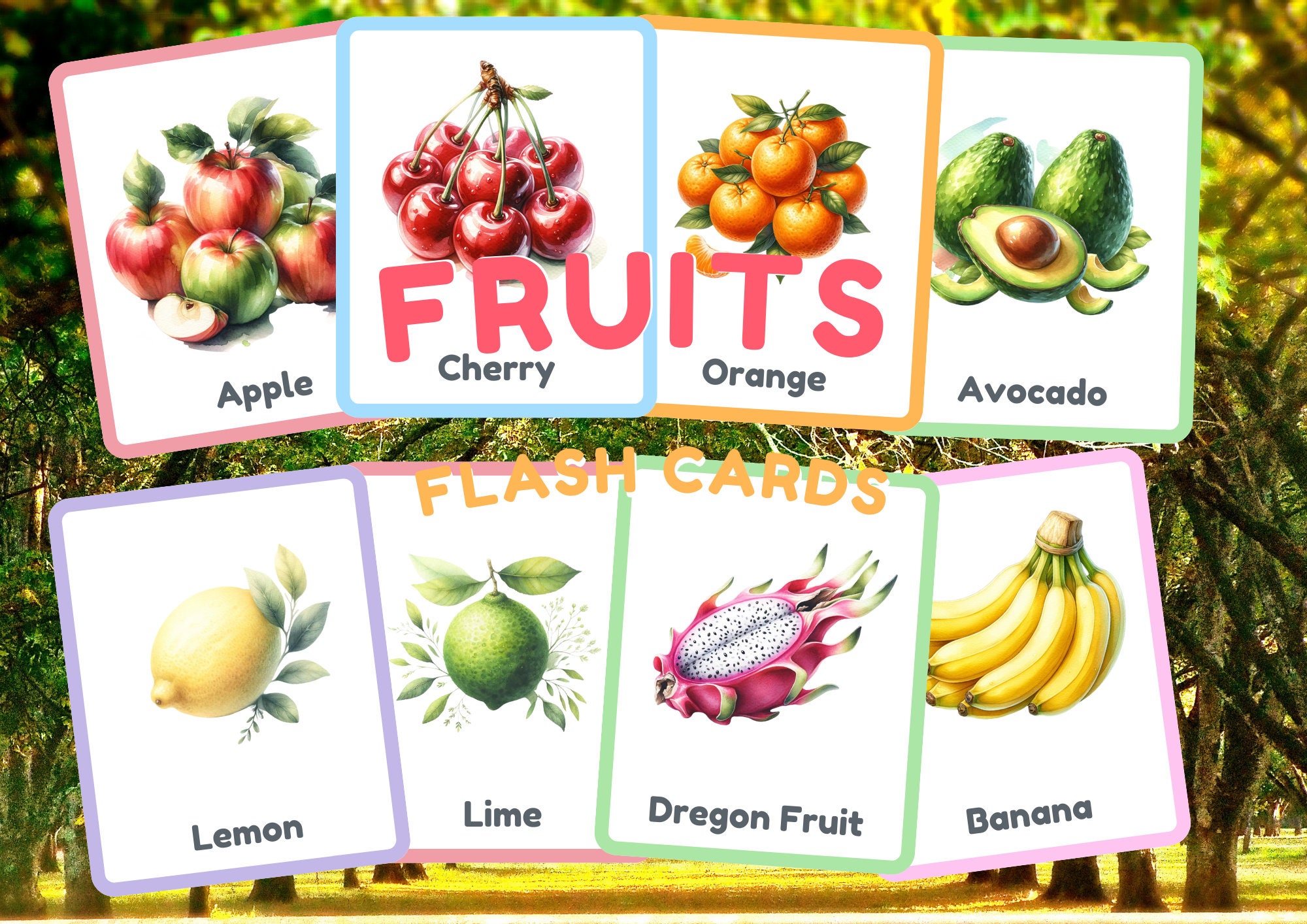 Flashcard Fruit,24 Flashcard for Kid, Fruits Flash Card, Montessori ...