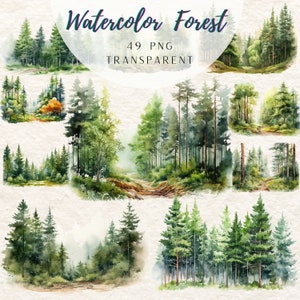 Puede incluir: Ilustraciones de acuarela de bosques con diversas escenas de exuberantes árboles verdes y senderos. El texto "Watercolor Forest" está en la parte superior, con "49 PNG TRANSPARENT" debajo. Las imágenes muestran una variedad de paisajes forestales.