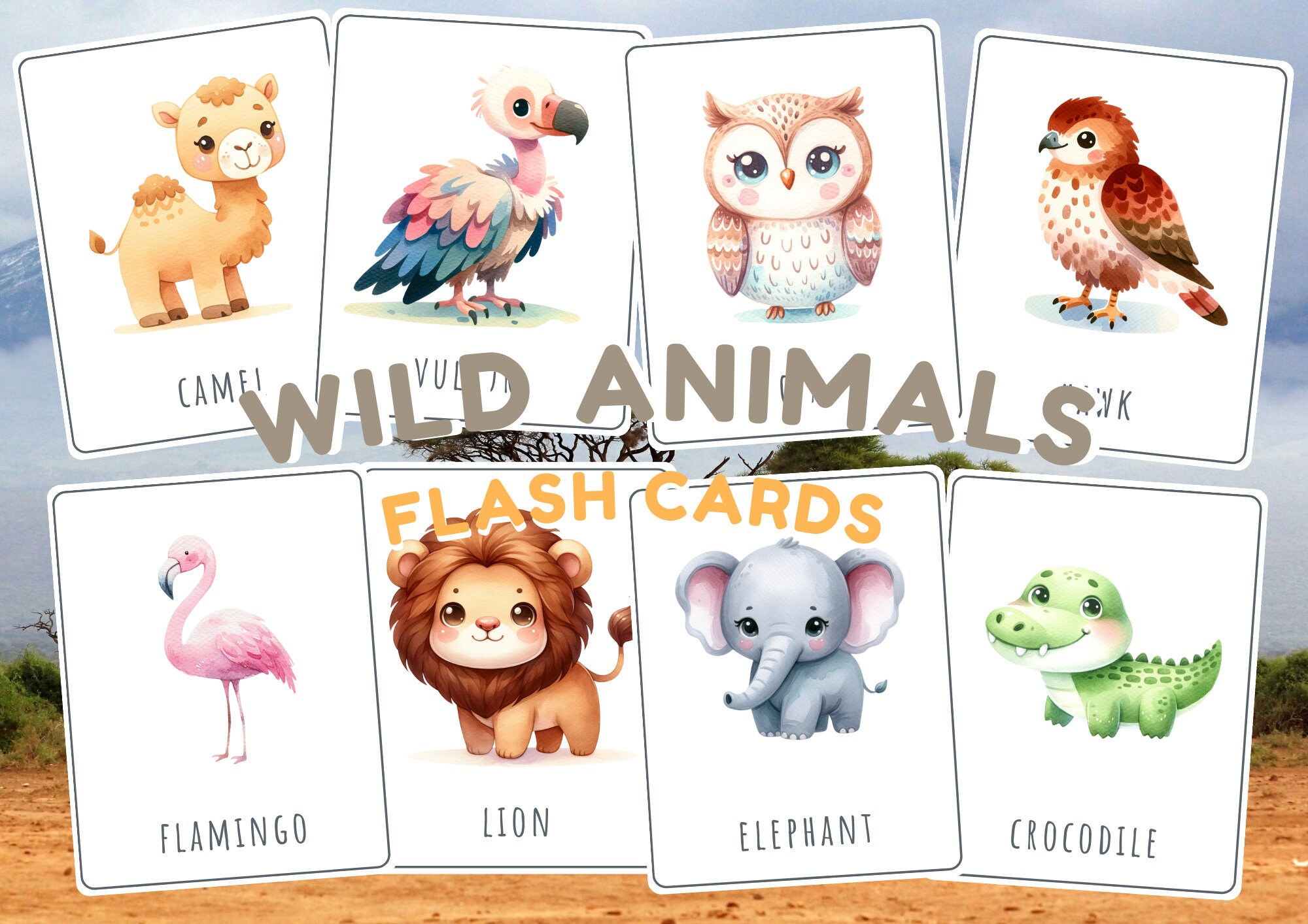 Flashcard Wild Animals,30 Flashcard for Kid, Animal Flash Card ...