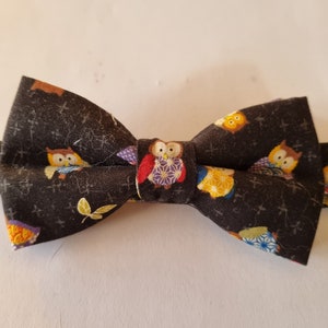 May include: A black bow tie with a pattern of colorful owls. The owls are in various poses and have different designs.