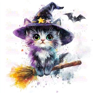 Art de chat pelucheux : illustration de chat magique assis sur un manche à balai avec chapeau de sorcière - Décoration d'Halloween mignonne