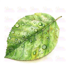 15 Cornucopia Decor - Arte del raccolto autunnale, Clipart del Ringraziamento, Centrotavola autunnale, Arredamento rustico per la casa, Opere d'arte natalizie, Alta risoluzione
