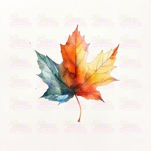 12 bellissime clipart di foglie d'acero / foglie autunnali per decorazioni autunnali / illustrazioni della natura per artigianato stagionale