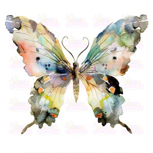 14 Fantasía de acuarela de las estaciones ilustrada como una hermosa mariposa tropical, arte de temporada, imágenes prediseñadas de mariposas