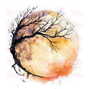 14 bellissime clipart artistiche della luna del raccolto / decorazioni autunnali rustiche e notti autunnali PNG per artigianato stagionale e materiali stampabili