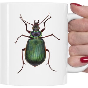 Coffee Mug Beetle Caterpillar Hunter Insect Designer Gift