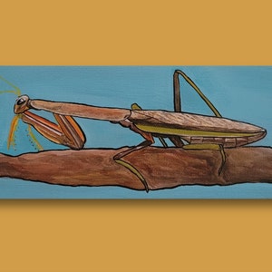 Praying Mantis Canvas Painting