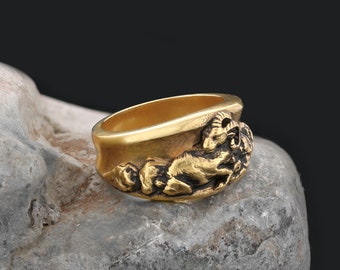 Anillo de Aries, anillo del zodiaco en plata de ley, anillo de Aries con baño de oro, anillo del horóscopo de Aries, anillo del zodiaco de Aries, anillo del zodiaco, regalo astrológico