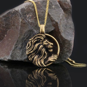 Hanger Leeuw, ketting dierenriem, cadeau astrologie, hanger dierenriem, ketting Leeuw, ketting dierenriem hanger, medaillon Leeuw