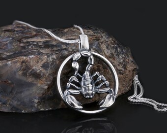 Colgante de Escorpio, collar del zodiaco, regalo de astrología, colgante del zodiaco, collar de Escorpio, collar con colgante del zodiaco, regalo de medallón de Escorpio