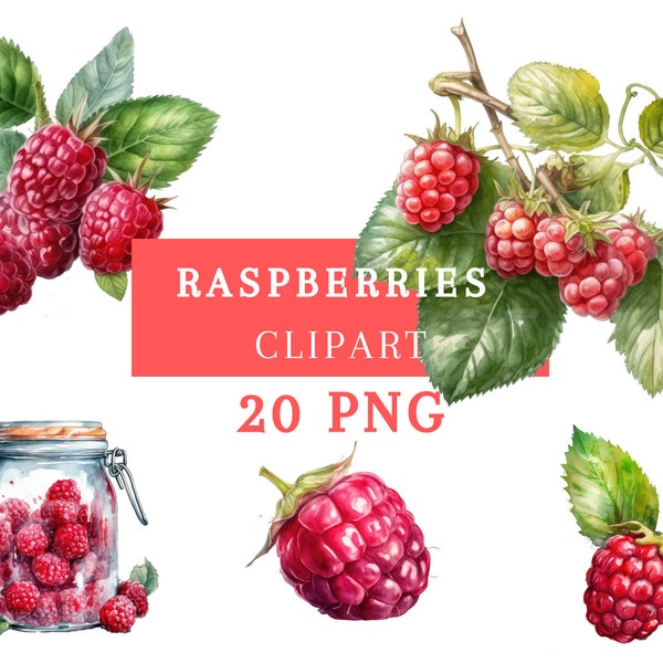 Tasty Watercolor Raspberry Clipart Bundle 20 PNG | Instant Download | Cute and Funny PNG Images, digital clipart | Commercial license