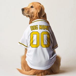Puede incluir: Un golden retriever con una camiseta de béisbol blanca con letras y ribetes amarillos. La camiseta tiene el texto "DOG NAME" encima del número "00" en la espalda. El perro está sentado y mirando hacia un lado.