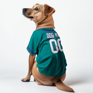 Custom Teal Dog Jersey – Personalized Pet Baseball Shirt with Purple Trim – 3D Name & Number Dog Outfit for Game Day
