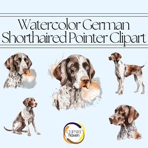 Puede incluir: Clipart de acuarela con un Braco Alemán de Pelo Corto en cuatro poses diferentes. El perro es marrón y blanco con un pelaje manchado. El fondo es azul claro con salpicaduras de acuarela.