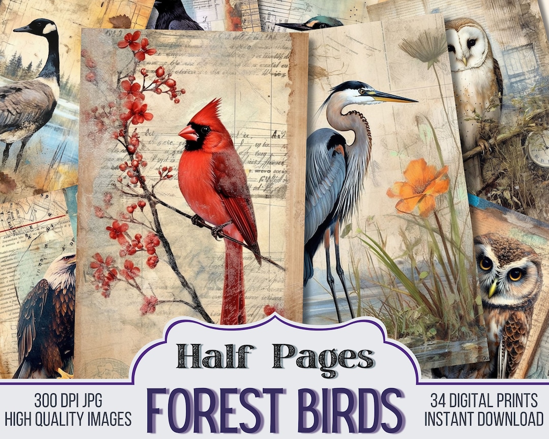 Forest Birds on Ephemera Junk Journal Half Papers, Journal Scrapbook ...